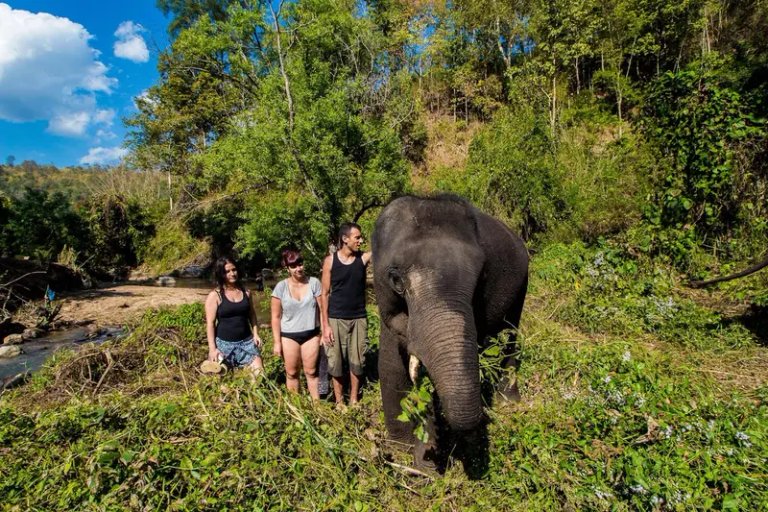 Hug Chang Elephant Sanctuary
